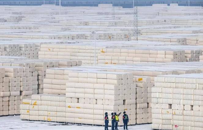 每年进口200万吨，新疆棉却大量出口！这波操作，被很多人误会了