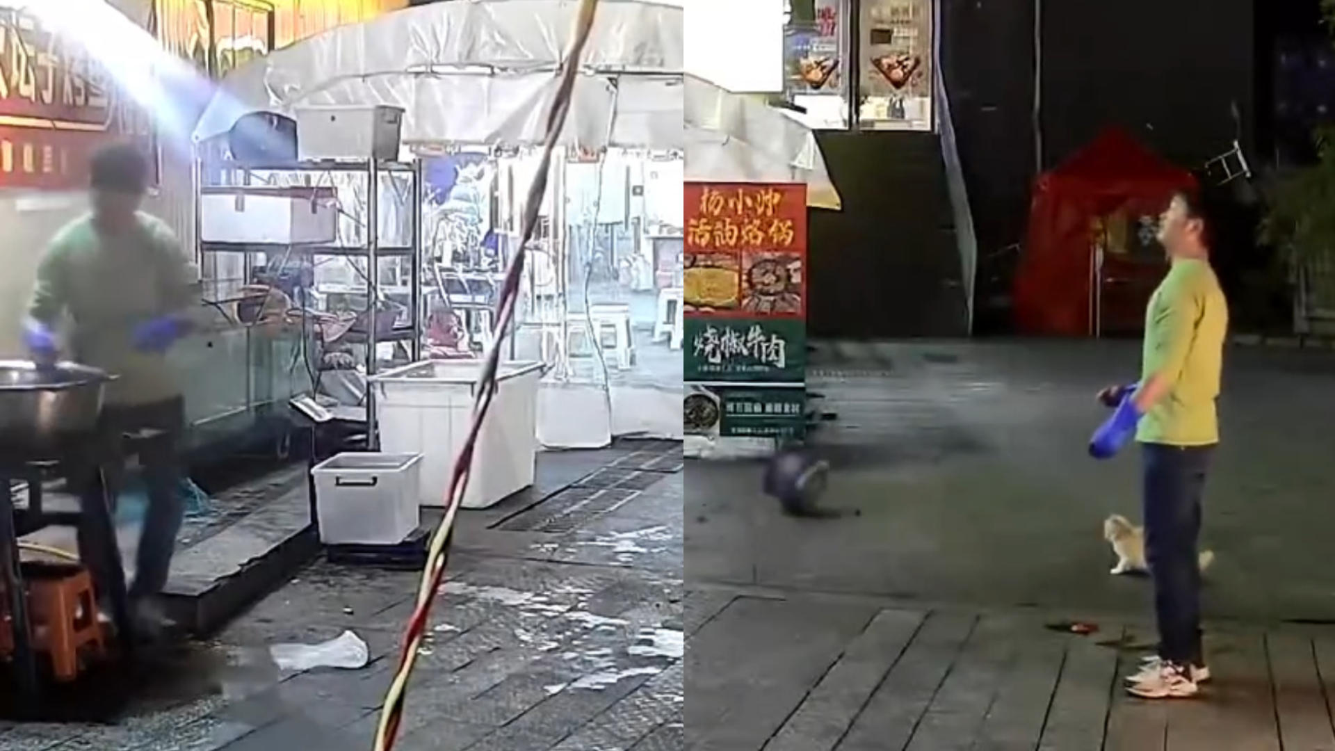 烤鱼店老板因投喂猫躲过一劫，当事人回应：将为救命小猫搭小窝