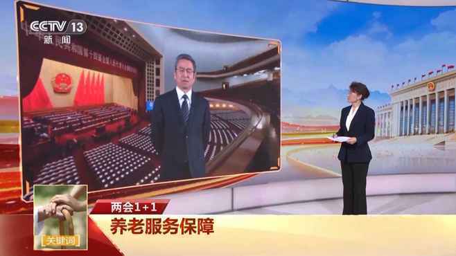 我国未来养老靠什么？白岩松：我觉得要有“四靠”