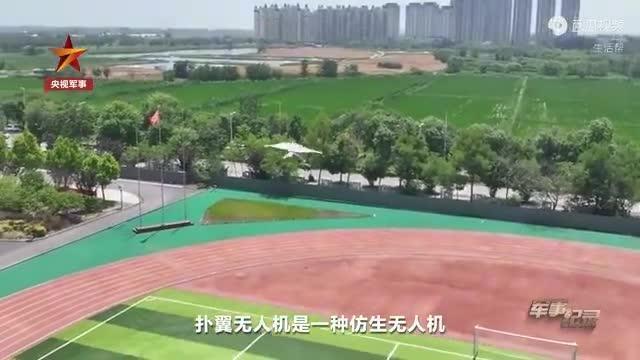 我国无人机，已经“进化”到这种程度了？