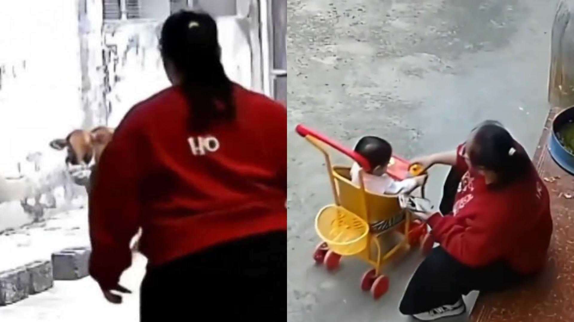 两头牛路过院子，穿红上衣的妈妈躲进屋里关上门，留幼儿一人在外，网友：她还拍了个照