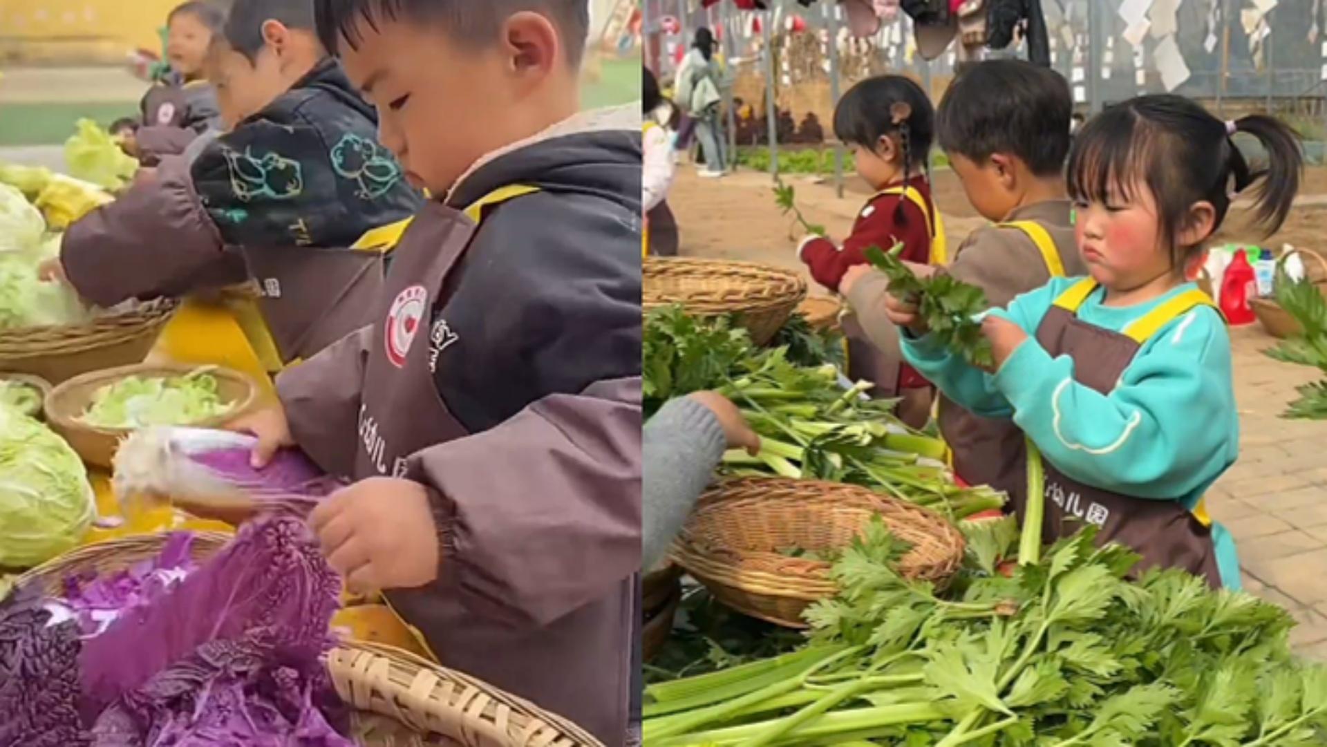 进了幼儿园忙得没时间哭！萌娃系着围腰、戴着袖套火急火燎择菜，网友：建议全国推广