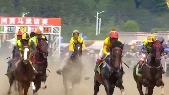 一天超8万人次涌入！五一假期“贵州村马”火了