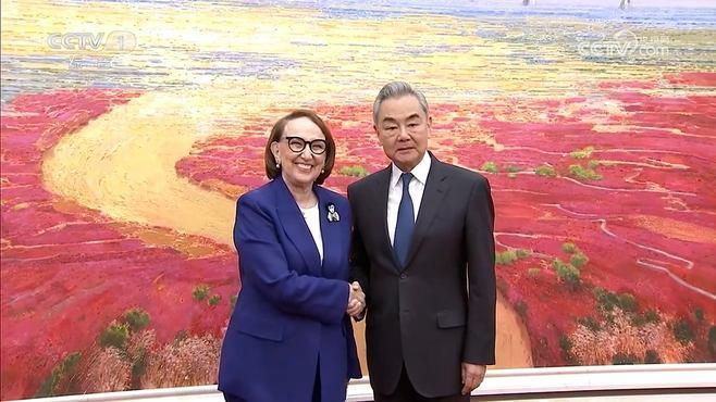王毅会见下任联合国秘书长候选人格林斯潘