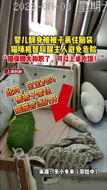 太有灵性了！婴儿被被子蒙住头部，家中猫咪一个举动避免危险...