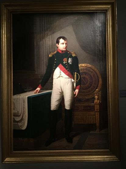 拿破仑老近卫军图片