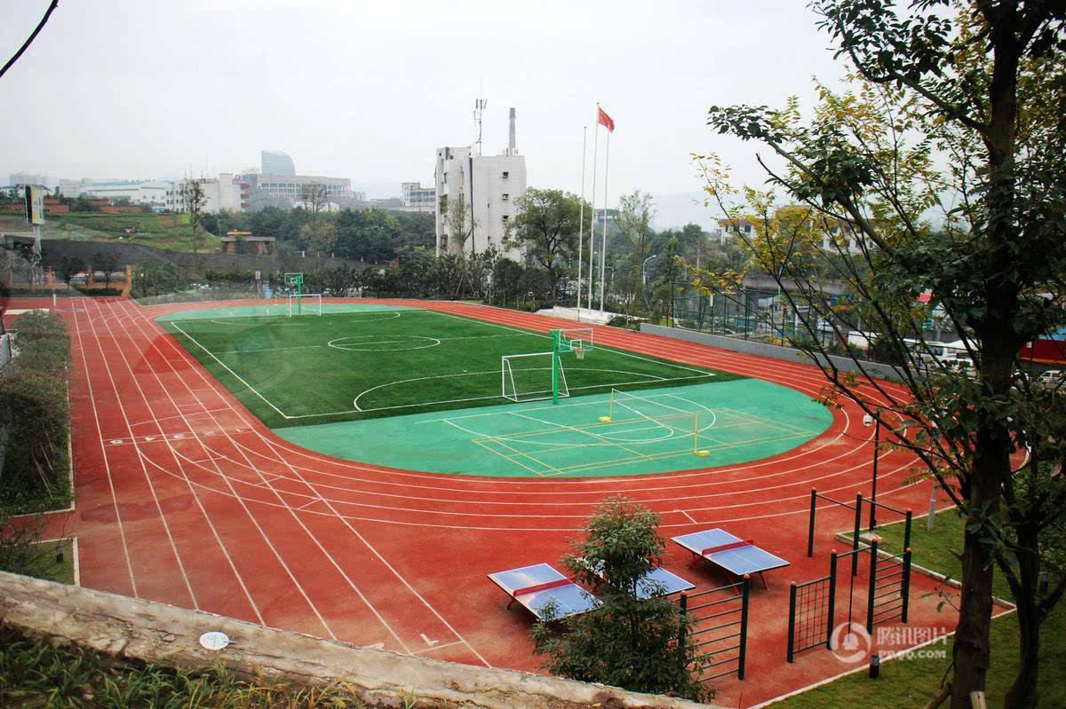 图为该小学操场全景.