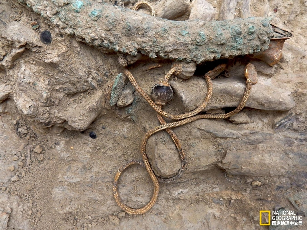 2015年年度7大考古发现