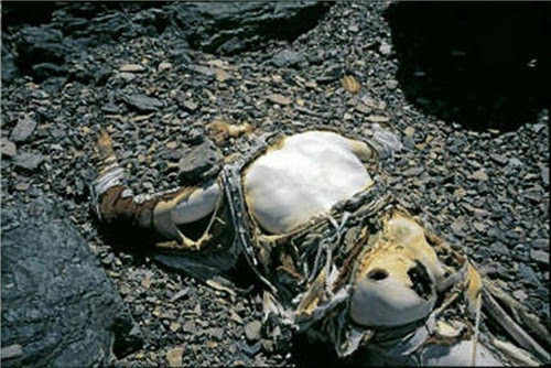 喜马拉雅山冻死的干尸图片