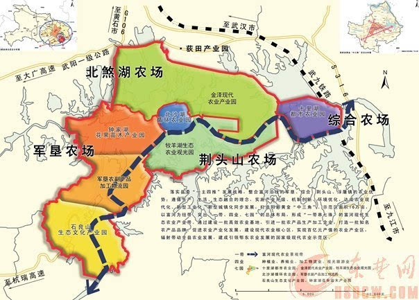 阳新县城南最新规划图图片