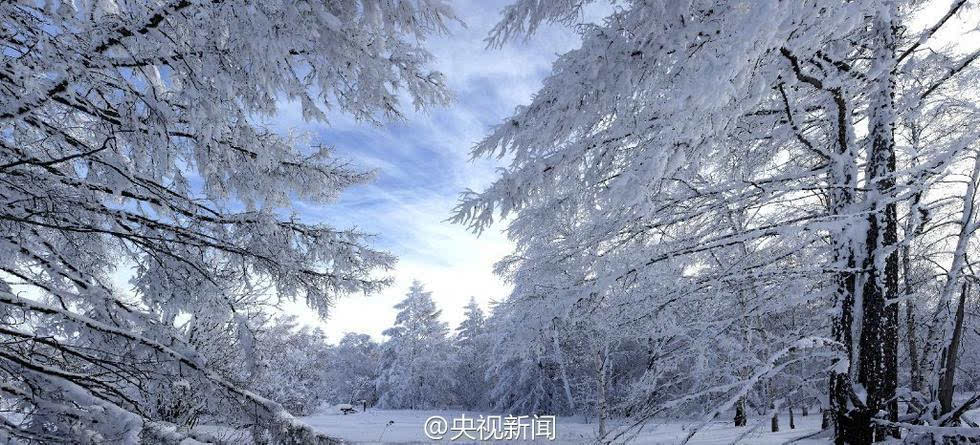 刘叶琳零下极寒拍照图片