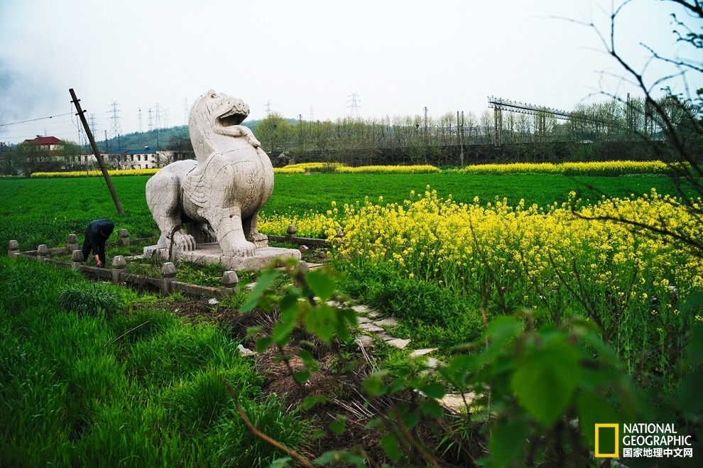 萧景墓石辟邪 南朝江苏省南京市栖霞区十月村从东汉时期开始,狮子与它