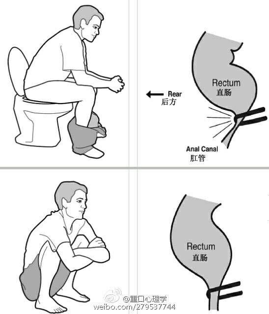 正确的拉屎姿势图片