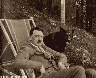 希特勒照片搞笑图片