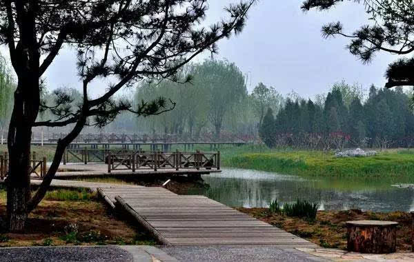 順義小夥伴春遊好去處,京津冀溼地公園小編吐血大盤點