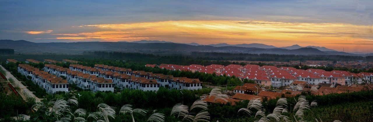 景域驴妈妈强势布局山东 独家运营,预售莱阳濯村樱花节