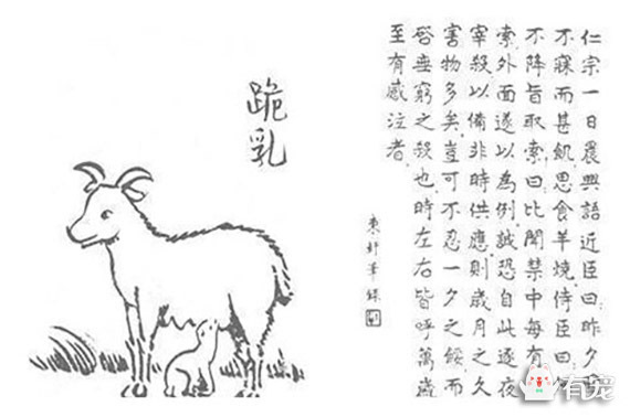 小羊吃草简笔画跪乳图片