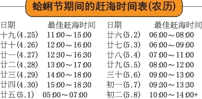 蛤蜊节两天待客5万人挖蛤蜊得看好潮道