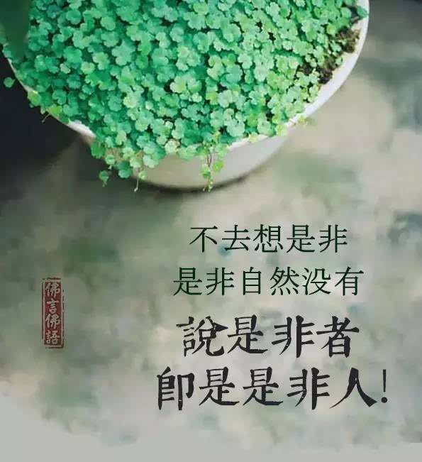 说是非者,就是[是非人]