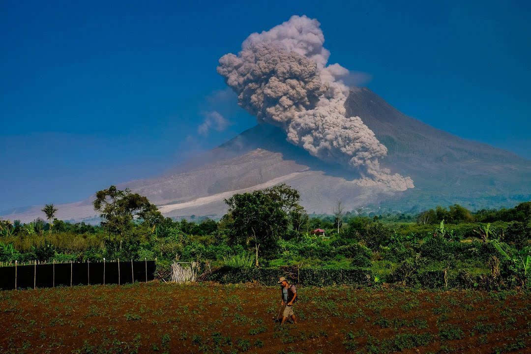26 日,印尼卡罗(karo),锡纳朋火山(mount sinabung)喷发时附近农田里