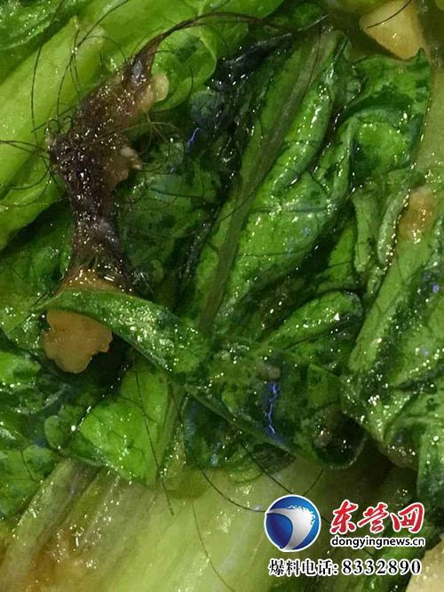 4月26日晚,市民李女士和朋友到位于东城沂州路的海菜大包快餐店吃饭