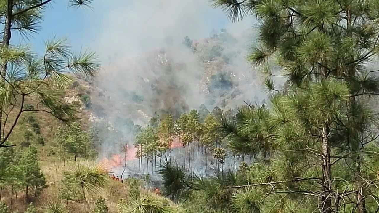 今天上午岩神山附近着火了,现场浓烟滚滚