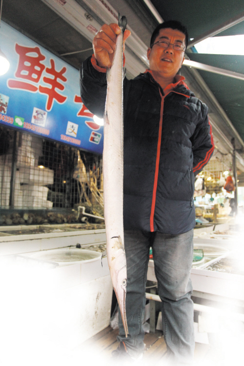和莱州人口中的针亮鱼是一种,即黑背圆颌针鱼,鄂针鱼;而青岛人口