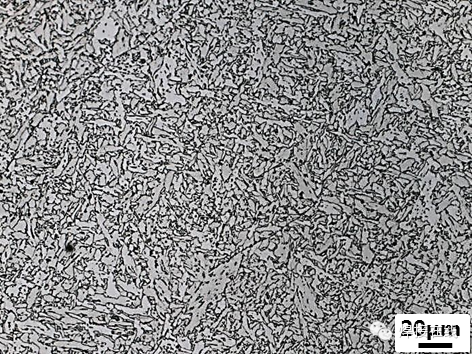 铁素体显微组织图图片