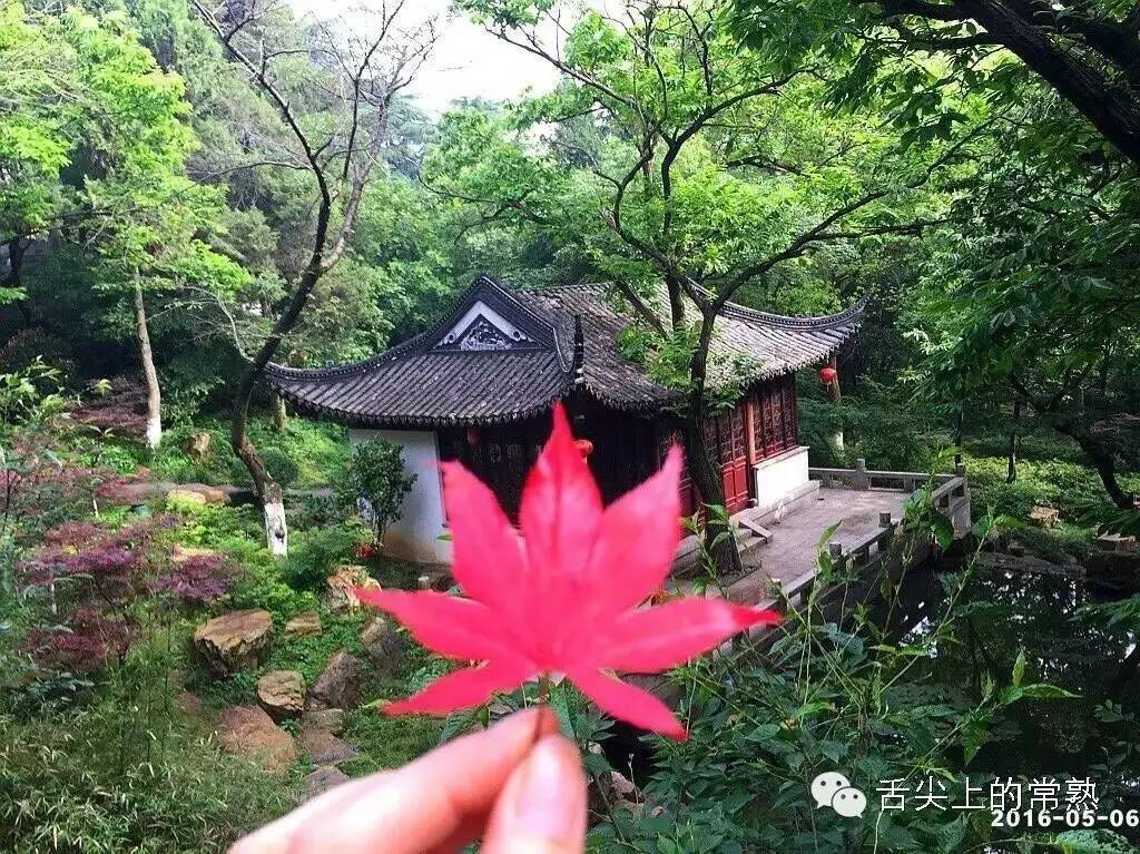 最美的馈赠,在于这山水之间(七溪流水虞山公园店)