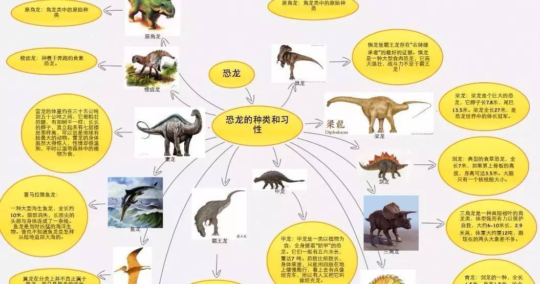 恐龙的演变思维导图图片