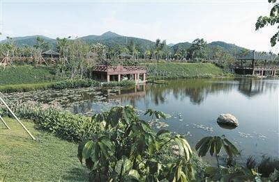 吉阳区中廖村中和湖风景优美,犹如一幅美丽的画卷.