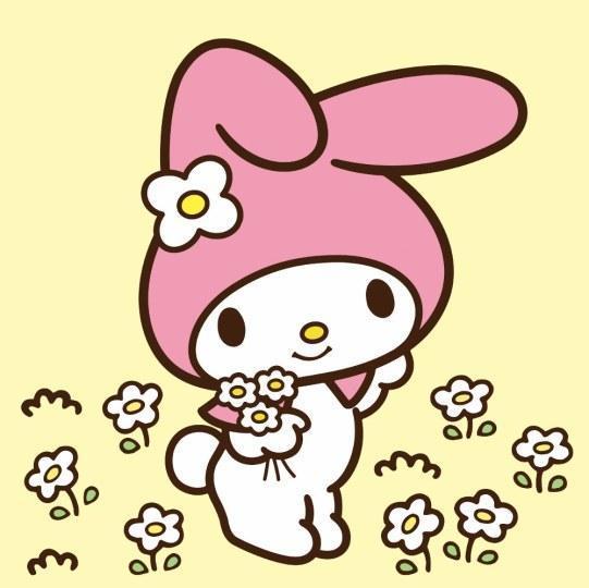 (第二名:布丁狗)(第三名:cinnamoroll)在之後的投票中hello kitty能不