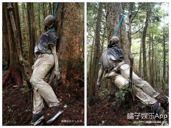深夜毒物随处可见吊死鬼揭秘日本自杀森林