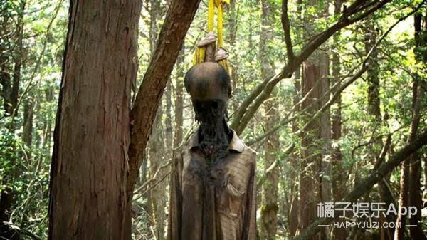 深夜毒物随处可见吊死鬼揭秘日本自杀森林
