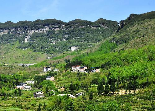 其它 正文 大有镇地处南川城区东南,金佛山东坡,与贵州省的道真县大矸