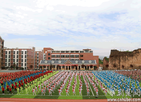 武陵国际实验中学图片