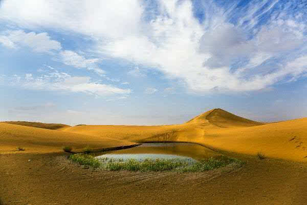 如夢似幻絢麗花捲:烏海湖旅遊景區