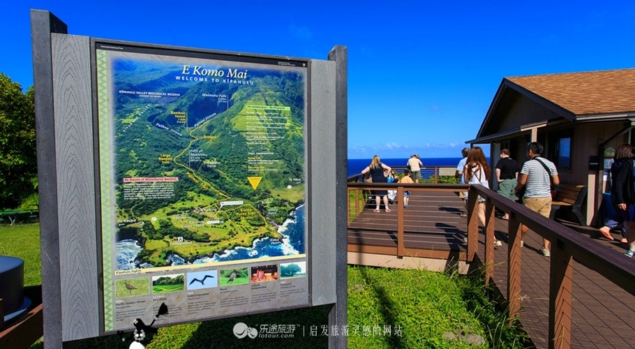 自駕夏威夷茂宜島 世界風帆衝浪起源地