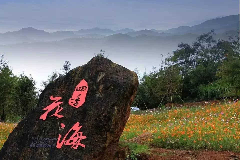大余浮江三月三风景区图片
