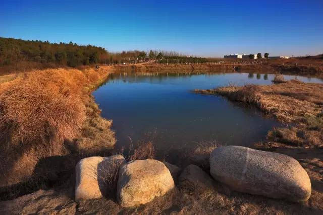 33 府河溼地 40 嚴西湖溼地公園 武漢的博物館也很多,數量達102家