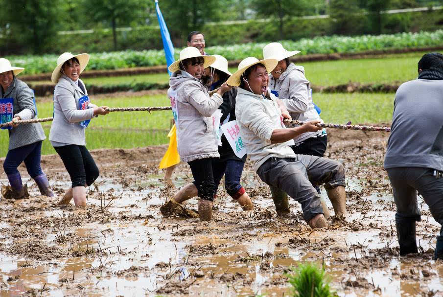 插秧比赛又来了田间地头散发泥土芬芳栽秧能手快乐秀技能