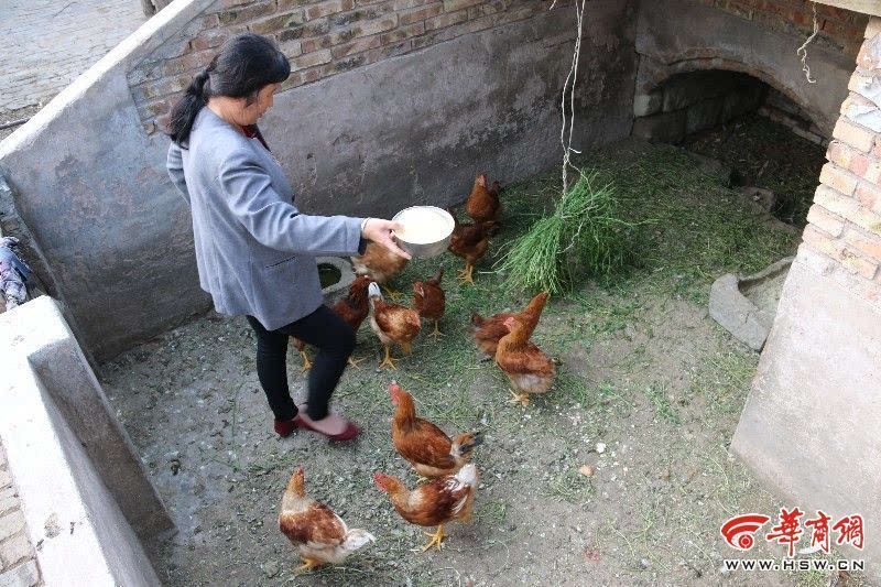 在等待两年多的时间后,常少芳所在的姜清滩大队小学终于有了空缺.