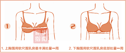 罩杯尺寸=上胸圍尺寸-下胸圍尺寸