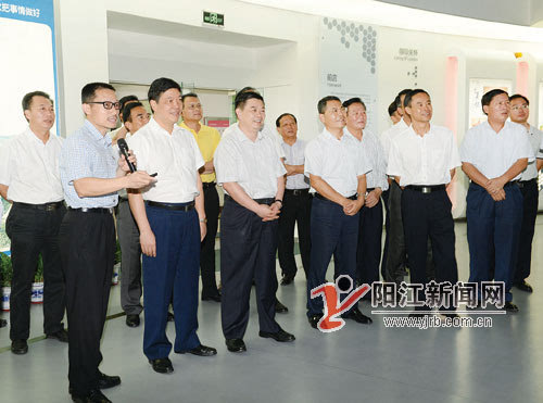 湛江市党政代表团到阳江考察实现合作共赢