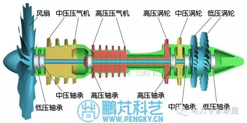 涨知识 