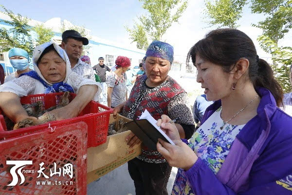 阿新古丽摄影报道)近日,福海县政法委为阔克阿尕什乡阿克乌提克勒村