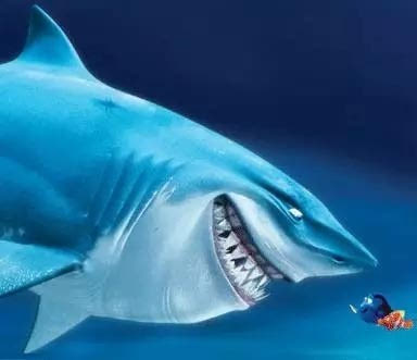 海底总动员鲨鱼布鲁斯图片
