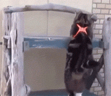 220_191gif 动态图 动图