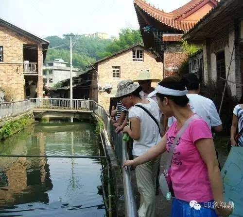 [印象 福鼎]探秘磻溪八景 走进生态村落