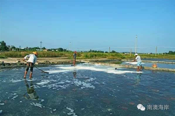 深澳鹽田|海鹽曬制技藝:那一段海水與陽光的傳奇